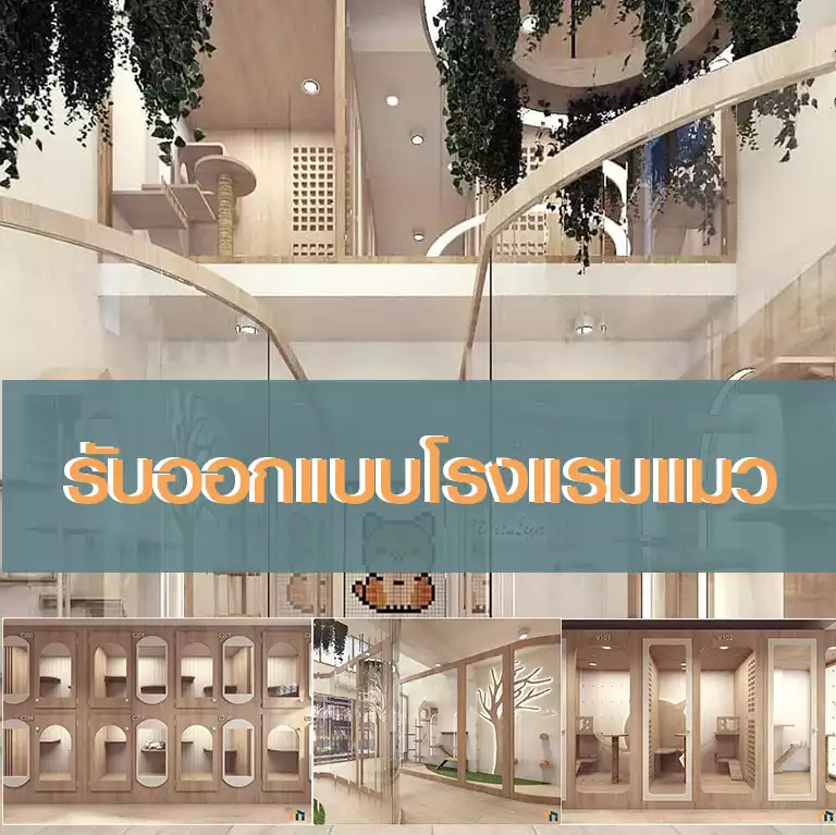 โรงแรมแมว